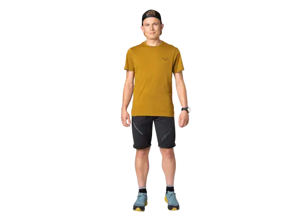 Dynafit 24/7 Graphic men's T-shirt Relic/Striped Elevation