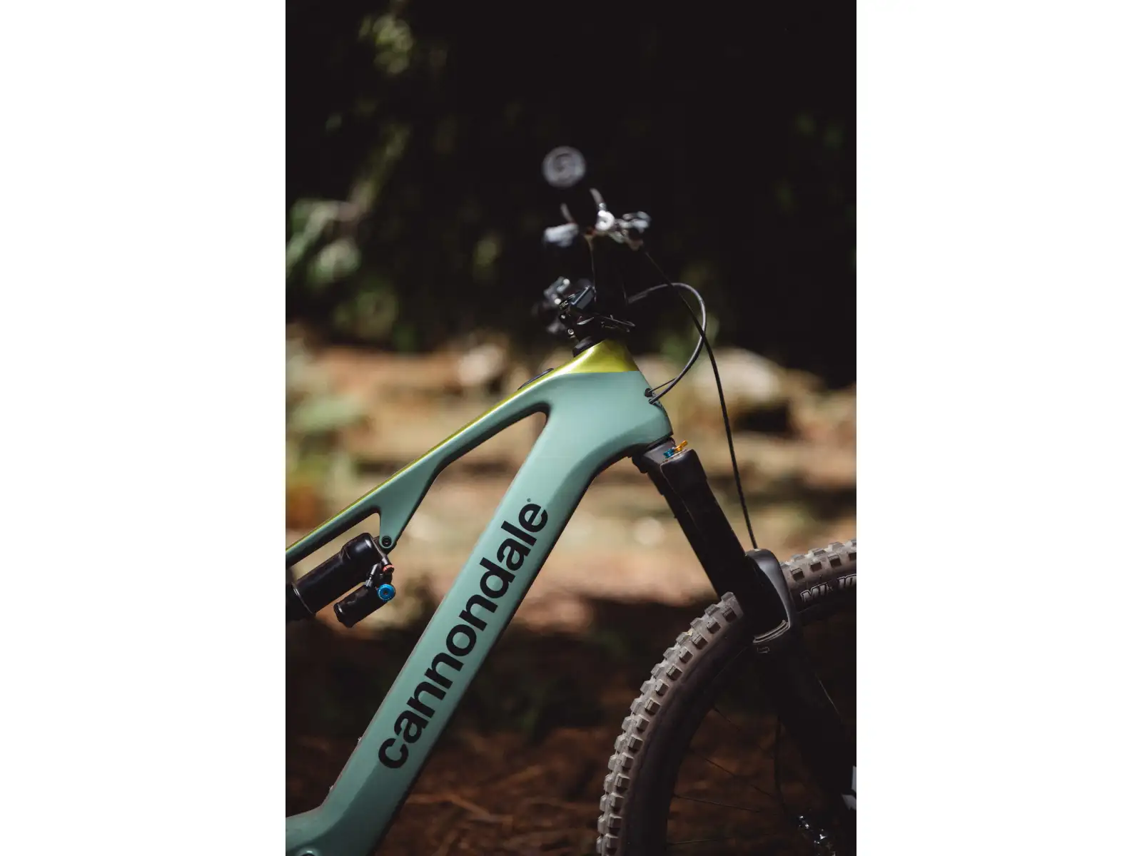 Cannondale Moterra SL Carbon 1 lightweight full-suspension e-bike JDE