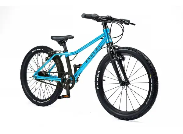 Rascal 20 children's bike Aquamarin