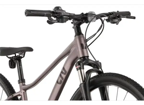 Liv Rove 1 DD women's trekking bike Dark Eclipse