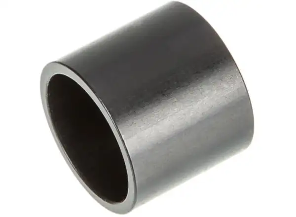 DT Swiss Ratchet stop insert under the freehub