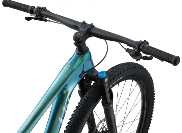 Liv Pique Advanced Pro 29 mountain bike Phoenix Fanatic Teal/Dark Green