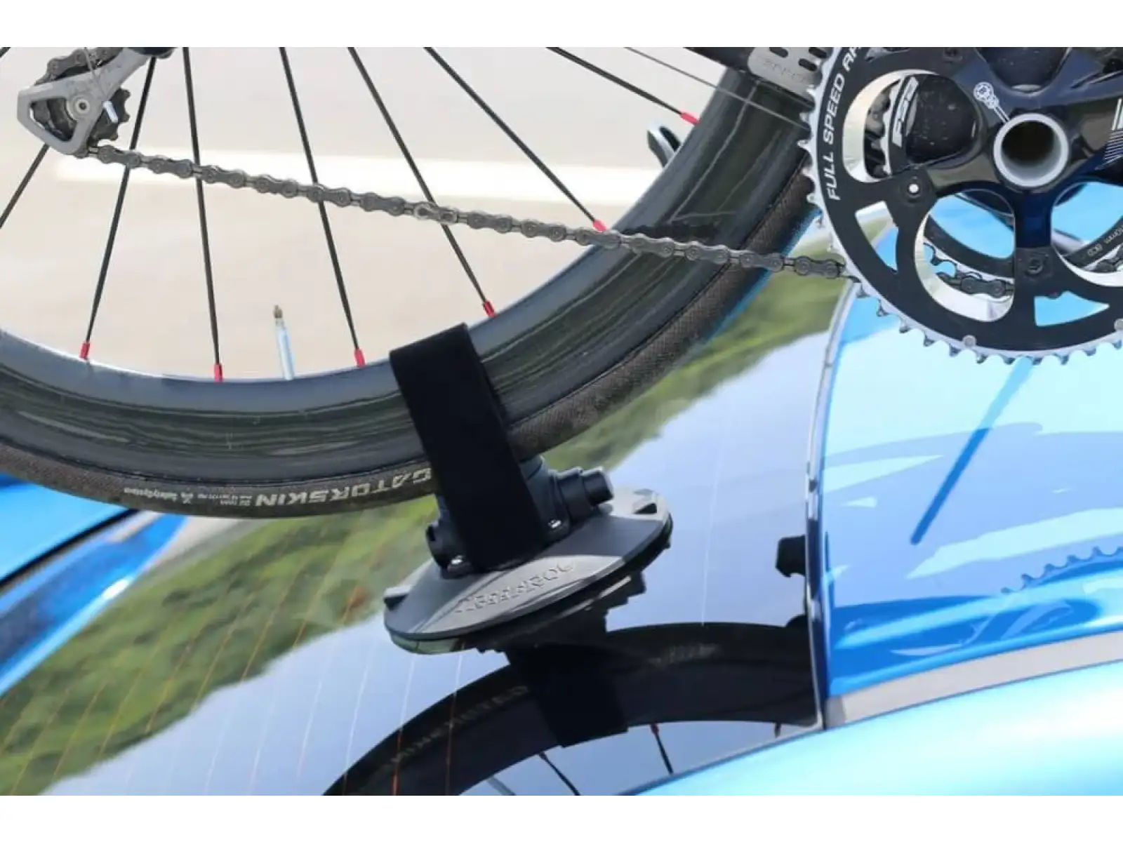 TreeFrog rear wheel holder