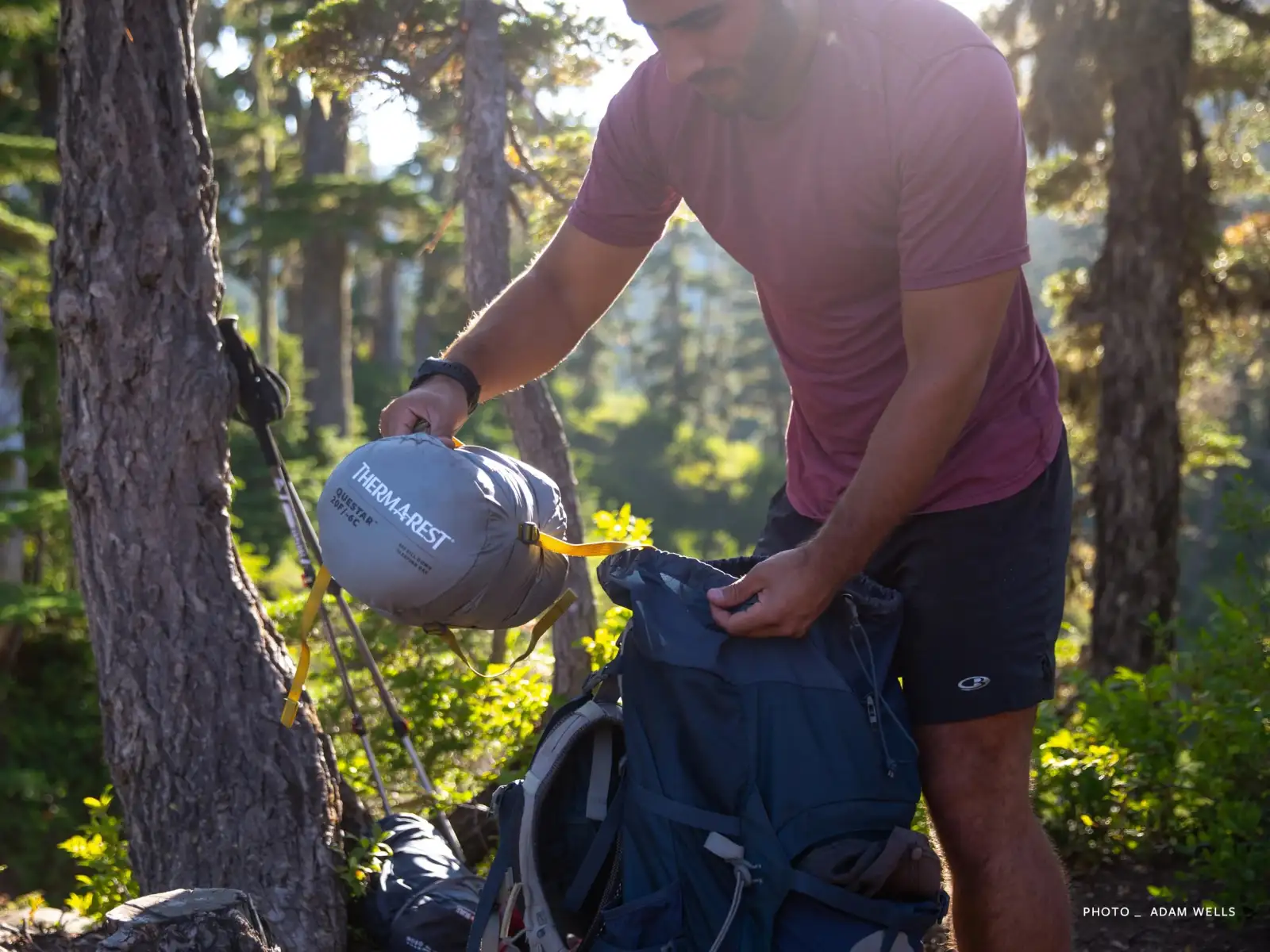 Therm-A-Rest Questar Regular Sleeping Bag -6 °C Balsam