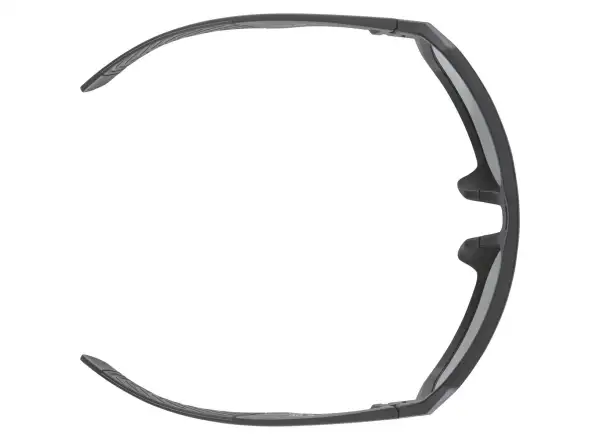 Alpina Swift glasses Black-Gold Matt