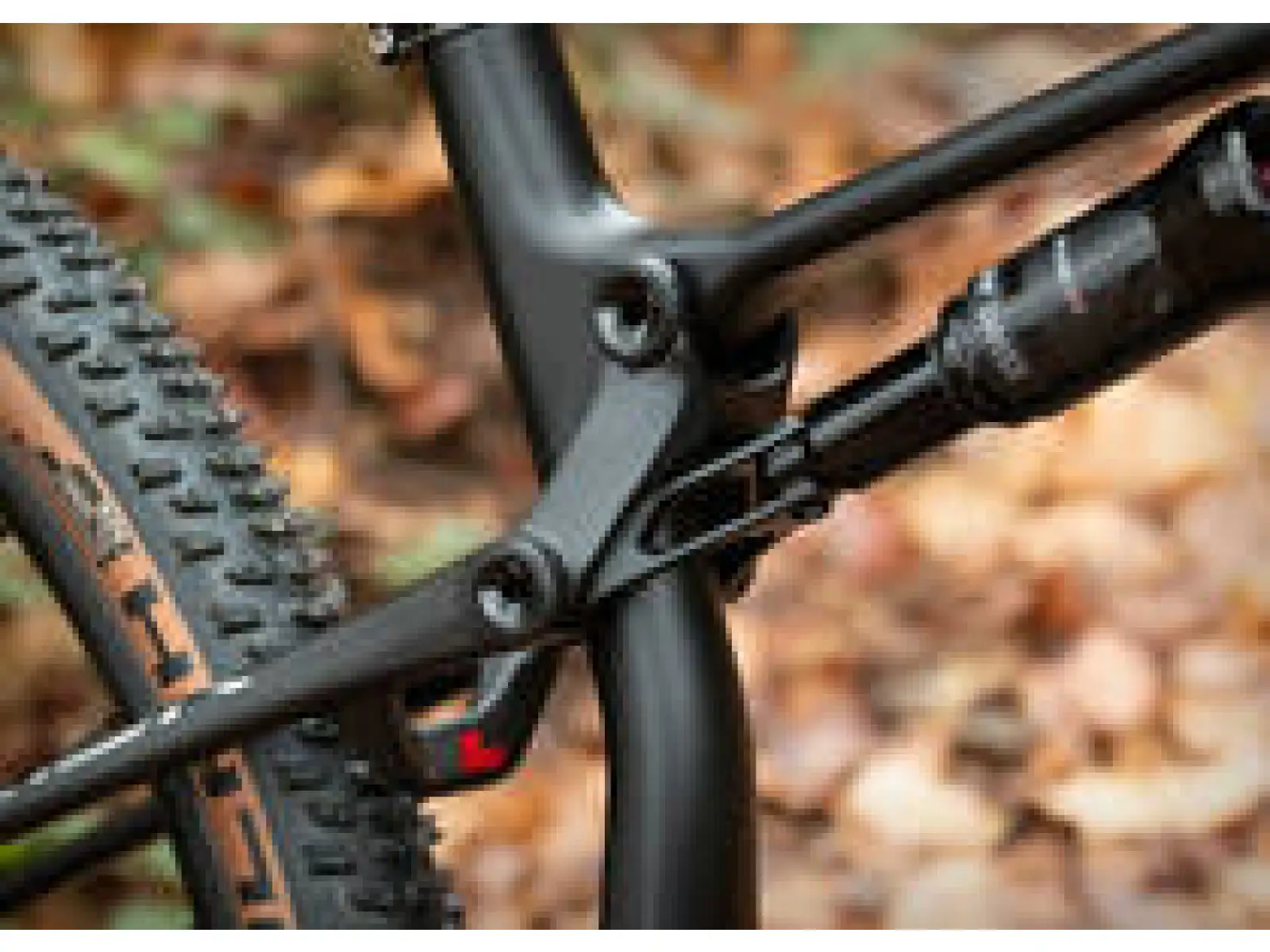 Superior Team XF 29 Issue R full suspension mountain bike Matte Carbon/Chrome/Team Red