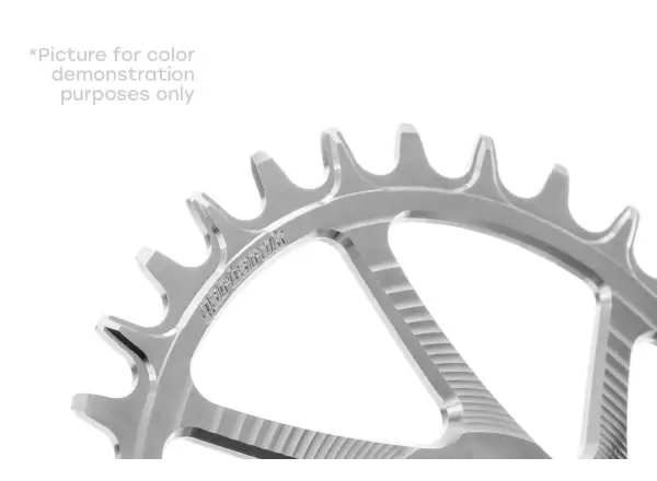 Garbaruk Melon chainring AXS Road/XC Oval chainring 40T Silver