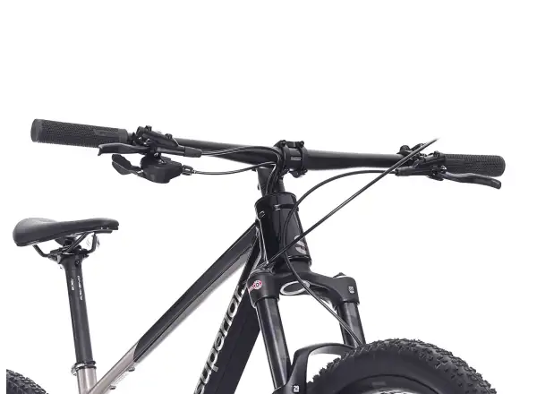 Superior XP 6.1 mountain bike Gloss Brush Alu/Black