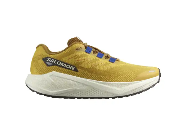 Salomon Aero Blaze 3 GRVL men's running shoes Spicy Mustard