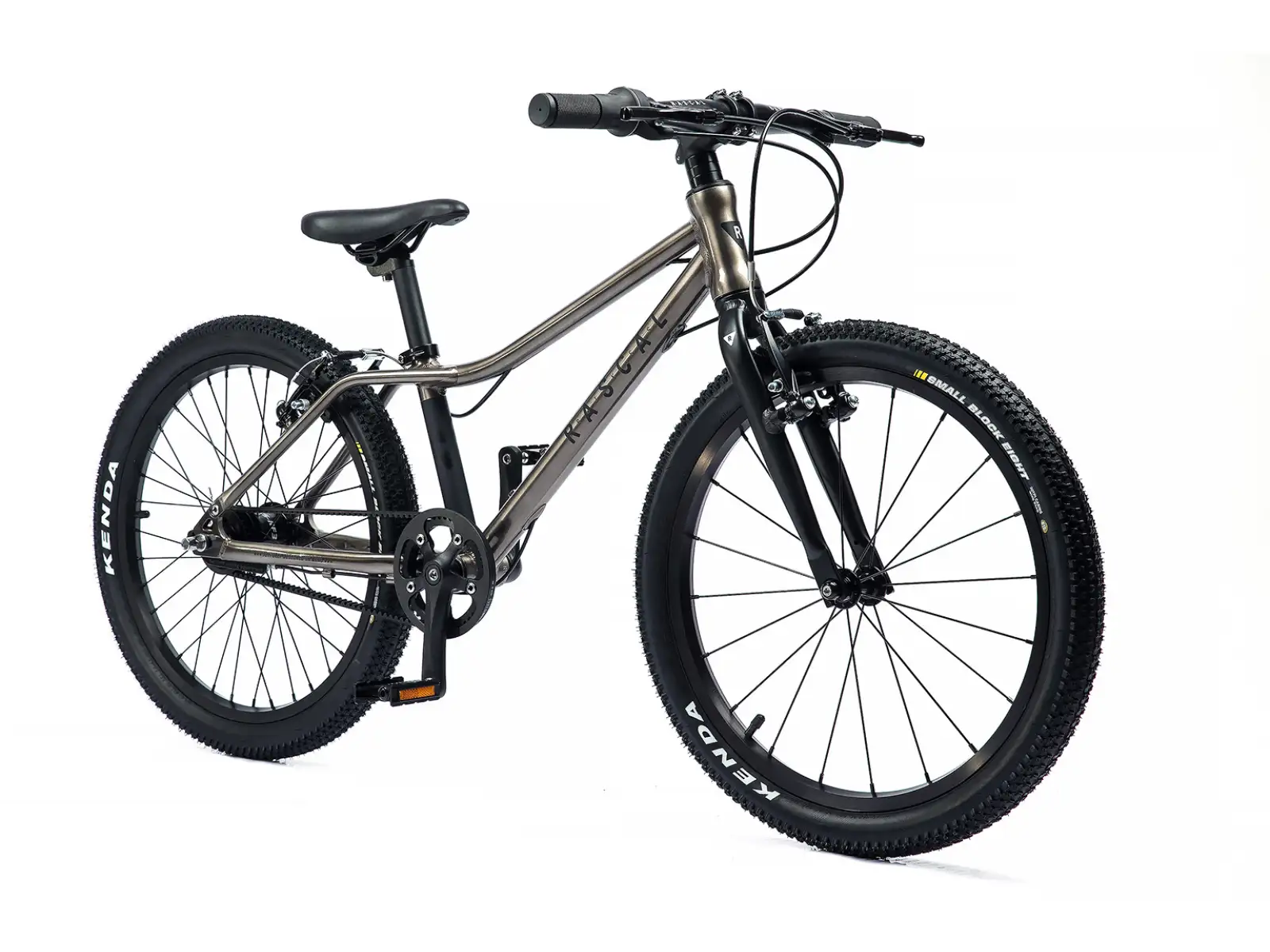 Rascal 20 children's bicycle Titanium