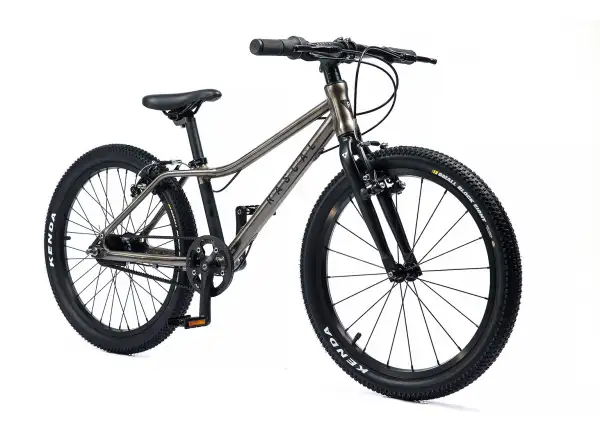 Rascal 20 children's bicycle Titanium