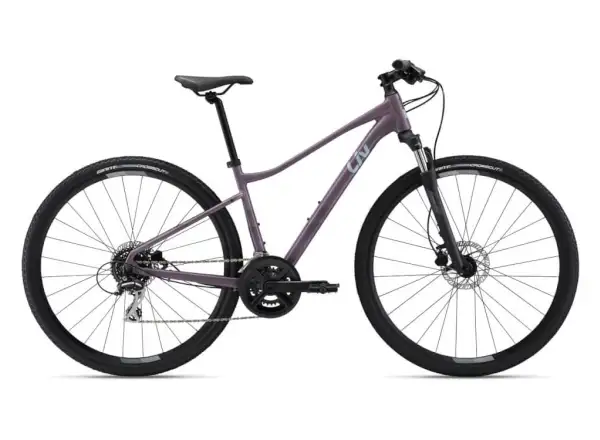 Liv Rove 3 DD Purple ash trekking bike