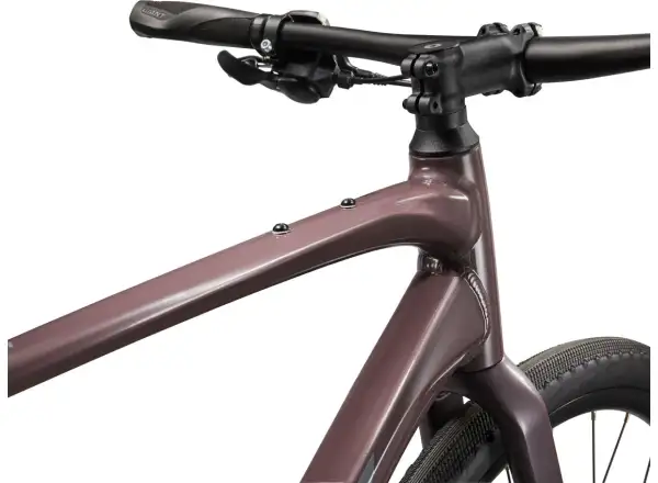 Giant FastRoad AR 3 fitness bike charcoal plum