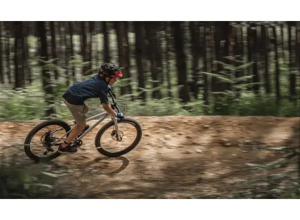 Early Rider Seeker 24 children's bike Violet Haze