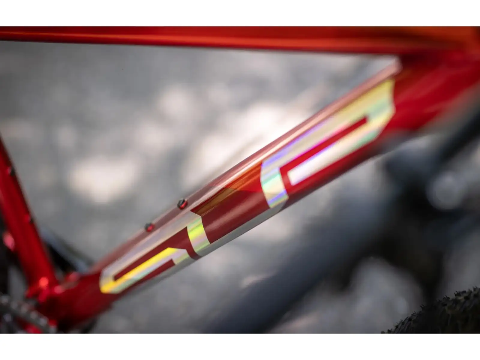 Superior XP 919 mountain bike Gloss Dark Red/Hologram Chrome