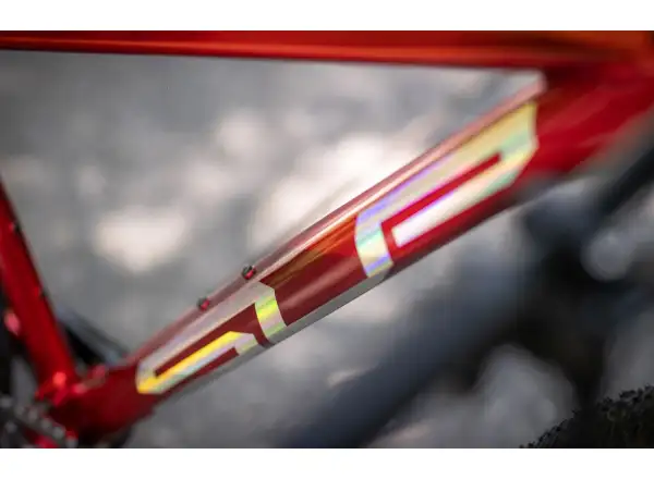 Superior XP 919 mountain bike Gloss Dark Red/Hologram Chrome