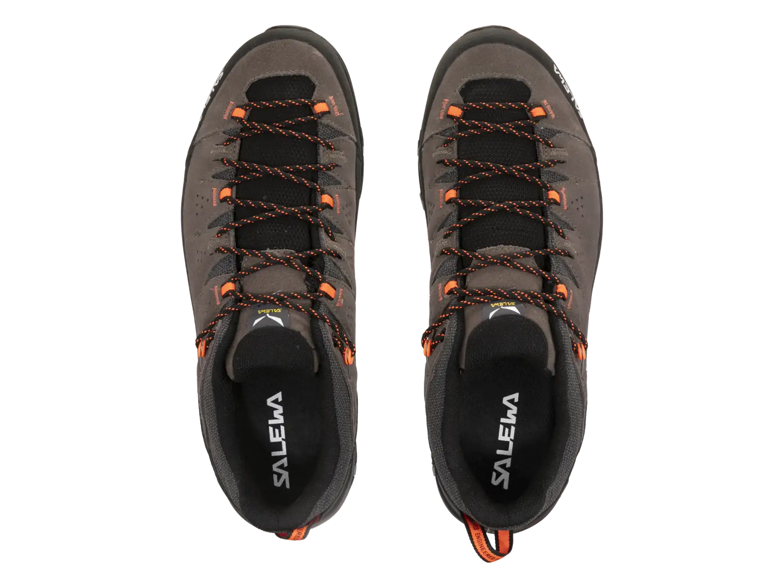 Salewa Alp Trainer 2 men's shoes Bungee Cord / Black