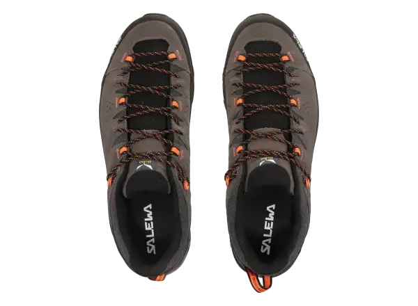 Salewa Alp Trainer 2 men's shoes Bungee Cord / Black