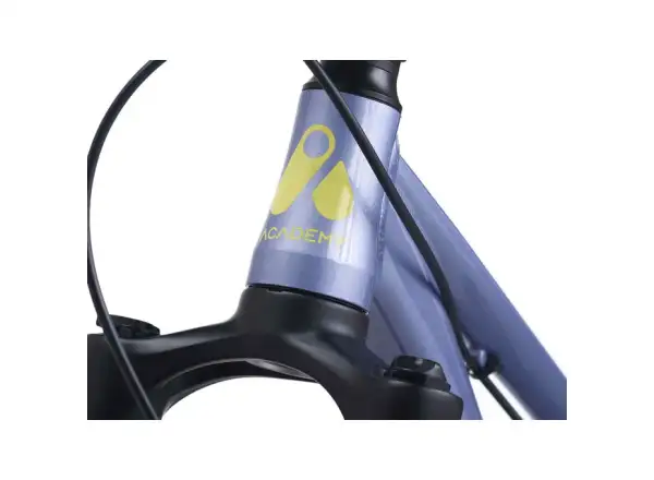 Academy S-Grade Pump 4 kids' bike 20" blue