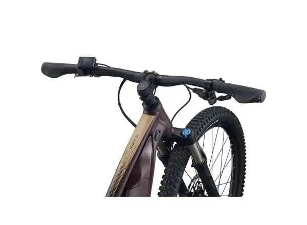 Liv Tempt E+ 1 29 women's mountain e-bike Figuier