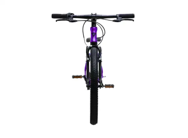 Rascal 20 children's bike Amethyst Limited
