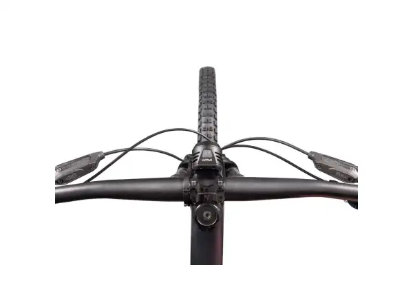 Lupine Mono int. (700 lm) light