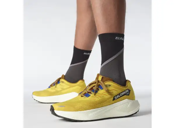 Salomon Aero Blaze 3 GRVL men's running shoes Spicy Mustard