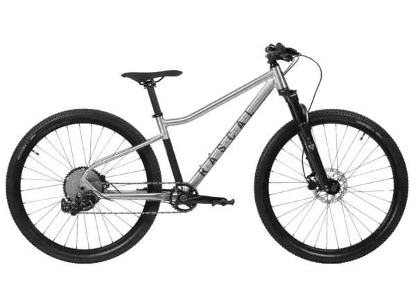 Rascal Wild 27 Limited children's bike Silver