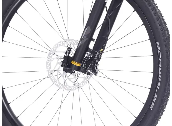 Superior XP 6.1 mountain bike Gloss Brush Alu/Black