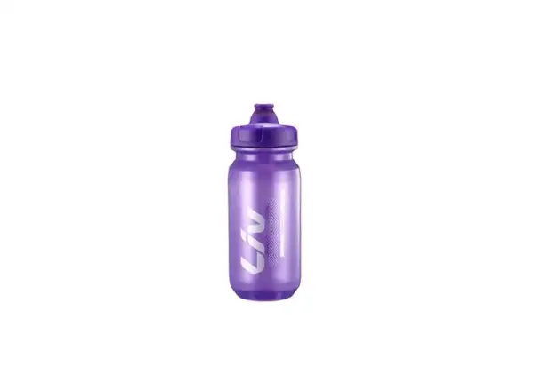 LIV CleanSpring bottle Purple/Silver 600ml