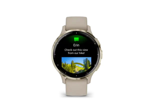 Garmin Venu 3S smart watch Soft Gold/French Gray