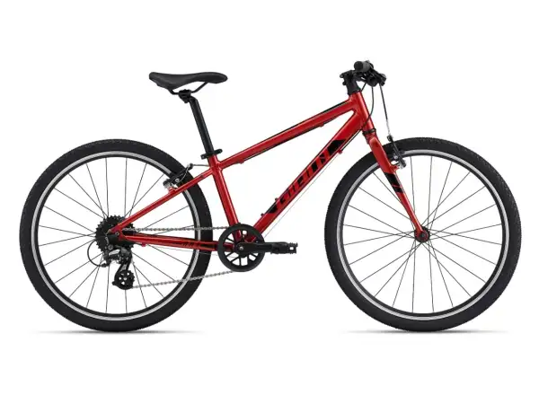Giant ARX 24 children's bike Grenadine
