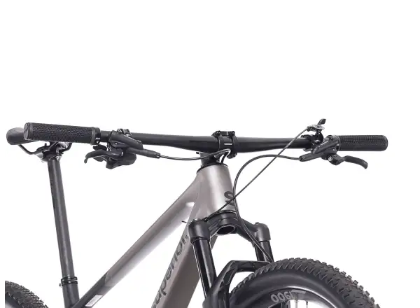 Superior XP 9.6 mountain bike Matte Dark Chrome / Carbon