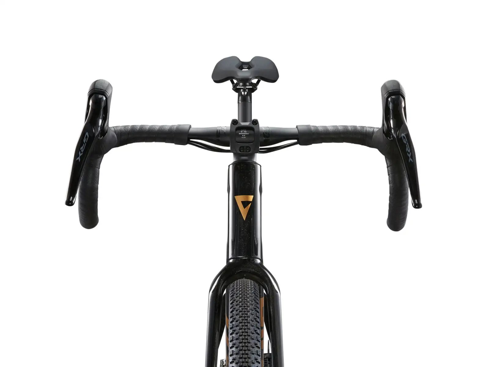 Giant Revolt Advanced 3 gravel bike Panther