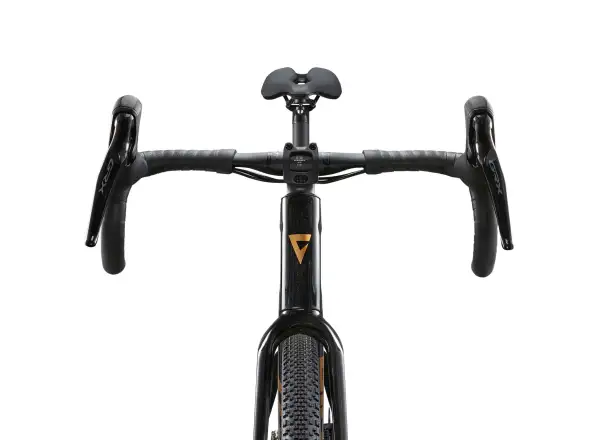 Giant Revolt Advanced 3 gravel bike Panther
