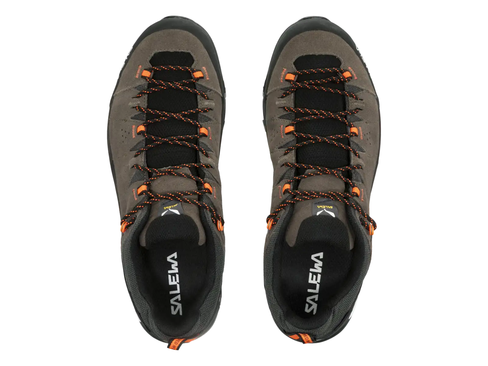 Salewa Alp Trainer 2 GTX men's shoes Bungee Cord/Black