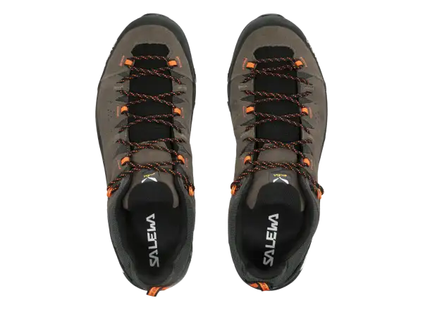 Salewa Alp Trainer 2 GTX men's shoes Bungee Cord/Black