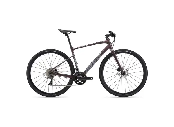 Giant FastRoad AR 3 trekking bike Charcoal Plum