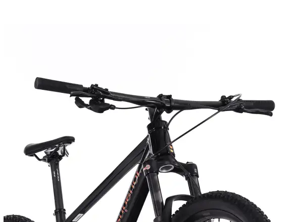Superior XP 6.1 mountain bike Gloss Black/Matte Black