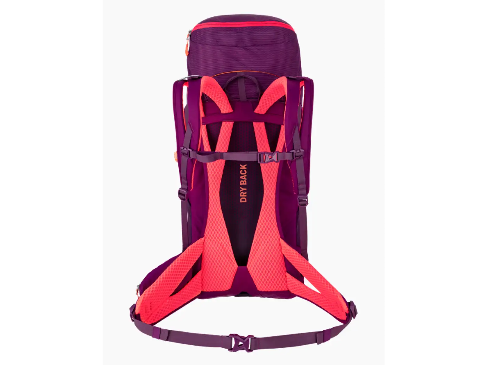 Salewa Alp Trainer 30 l + 3 l women's backpack Syrah