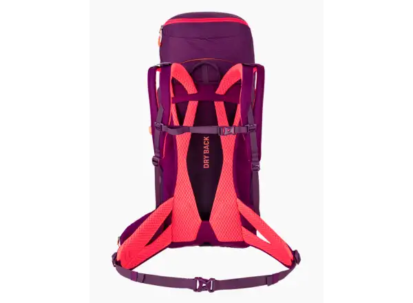 Salewa Alp Trainer 30 l + 3 l women's backpack Syrah