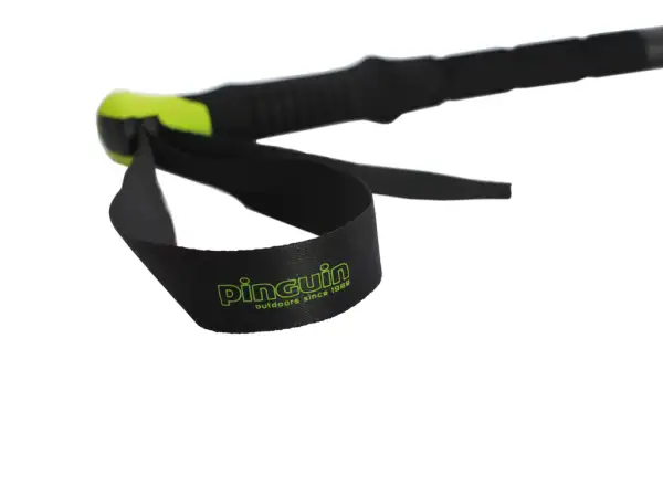 Pinguin Compact FL Foam Trekking Poles grey