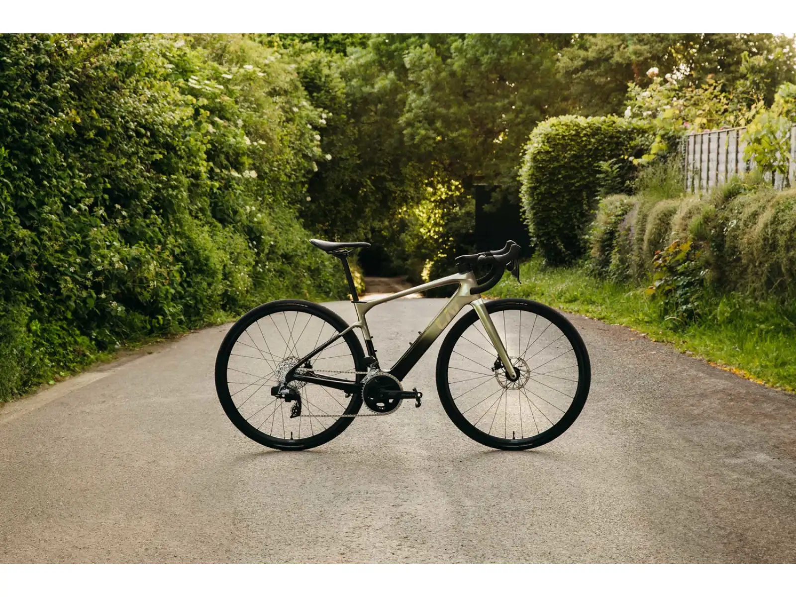 Liv Avail Advanced E+ Elite 2 road e-bike Golden Haze