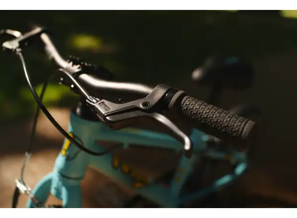 Fíha 24 CoralBubble children's bicycle blue
