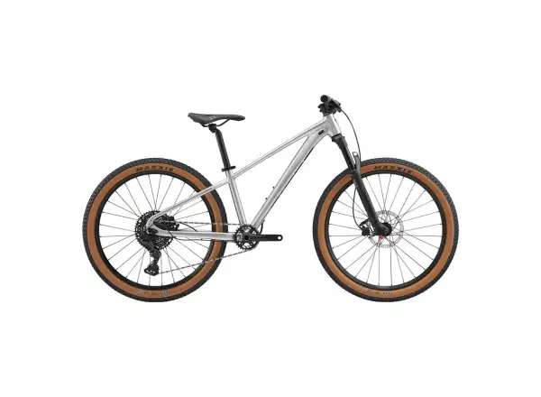 Giant STP 26 M children's mountain bike Quicksilver
