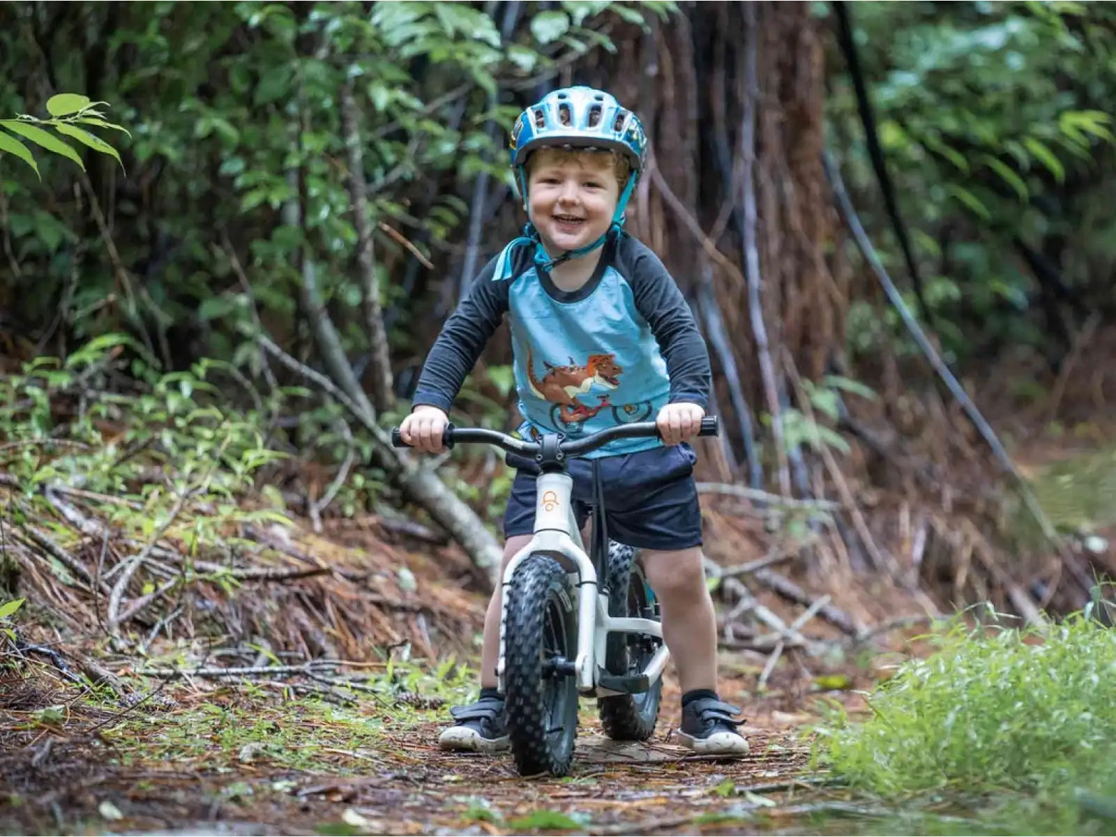 Kids Ride Shotgun Dirt Hero 12 balance bike