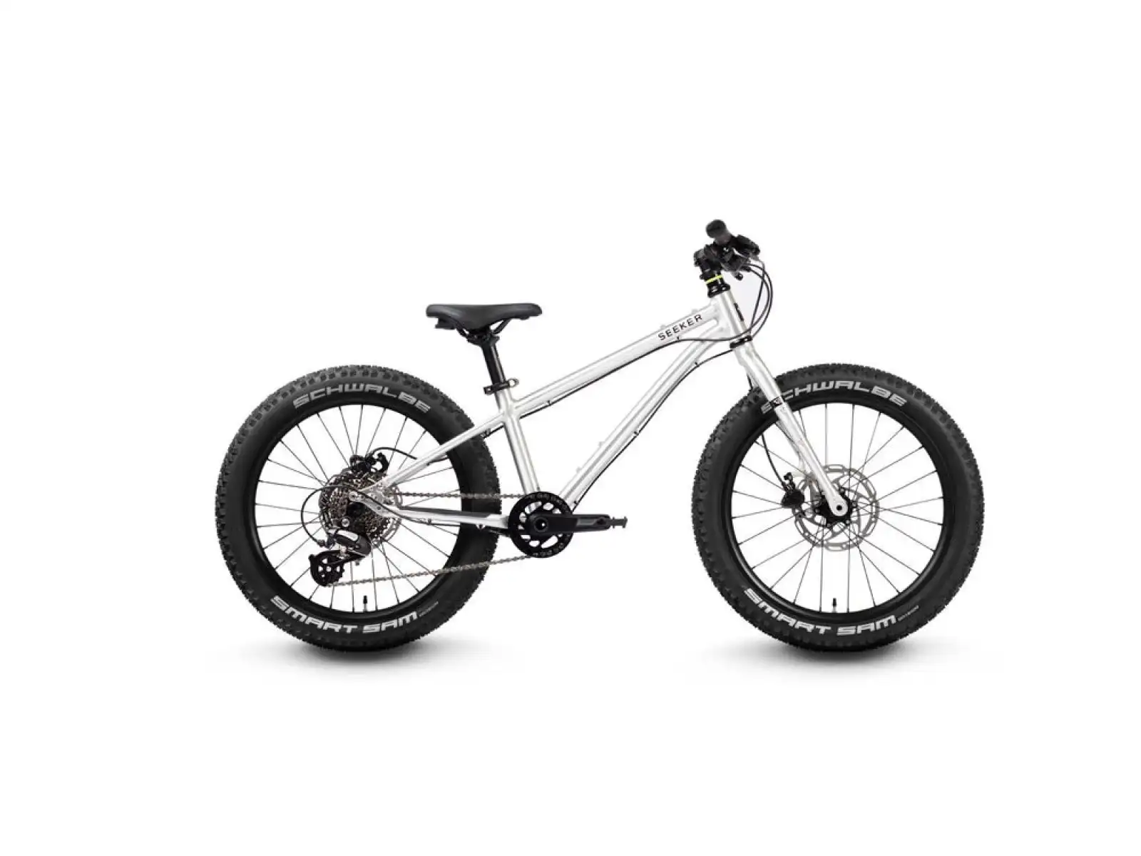 Early Rider Seeker 20 Brushed children's bike 2025