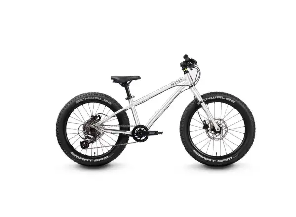 Early Rider Seeker 20 Brushed children's bike 2025