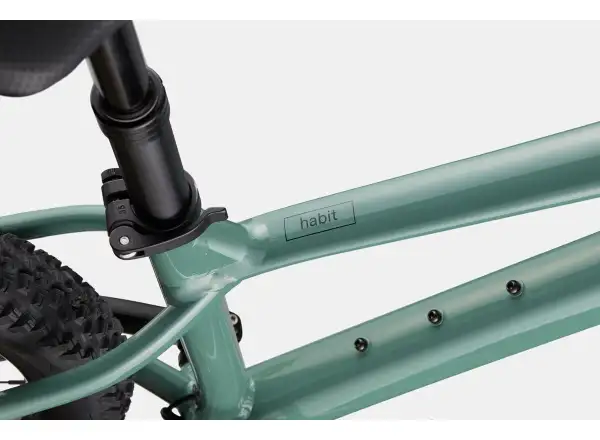 Cannondale Habit HT 3 mountain bike Jade
