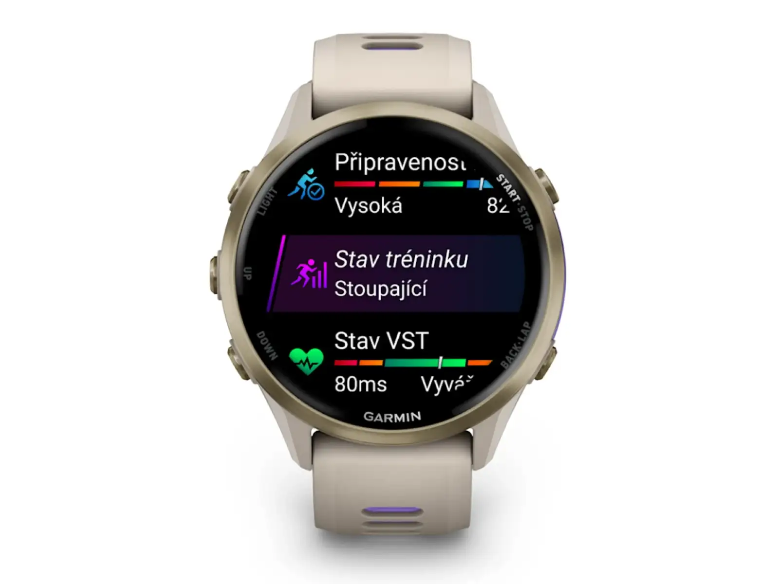 Garmin Forerunner 970 smart watch French Grey/Indigo